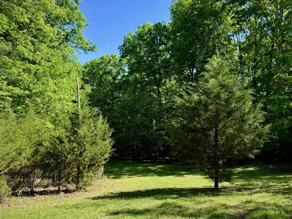 1454 Old Dogwood Trail Loudon TN 37774