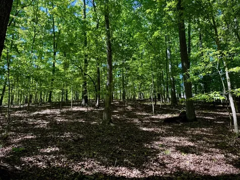 1454 Old Dogwood Trail Loudon TN 37774