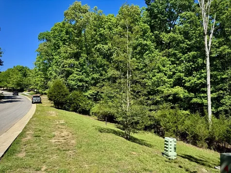1454 Old Dogwood Trail Loudon TN 37774