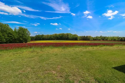 11450 Mcillwain Road Holladay TN 38341
