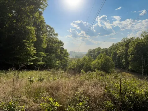 1070 Leatherwood Road White Bluff TN 37187