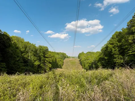 1070 Leatherwood Road White Bluff TN 37187