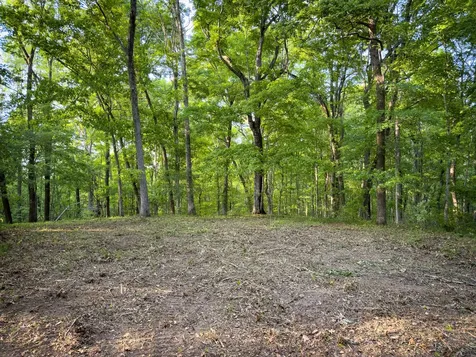 1070 Leatherwood Road White Bluff TN 37187