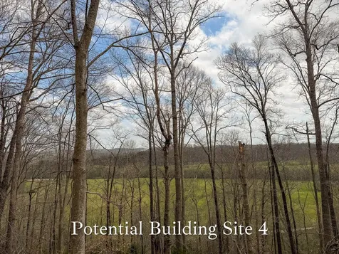 1070 Leatherwood Road White Bluff TN 37187