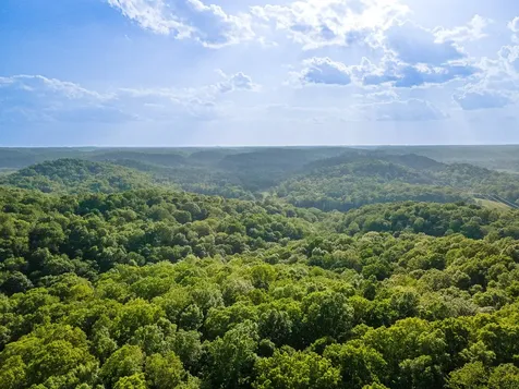 1070 Leatherwood Road White Bluff TN 37187