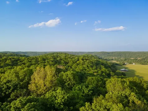 1070 Leatherwood Road White Bluff TN 37187