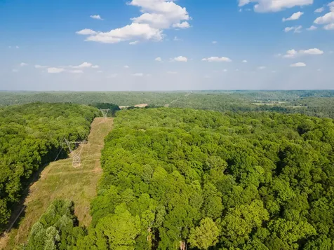 1070 Leatherwood Road White Bluff TN 37187