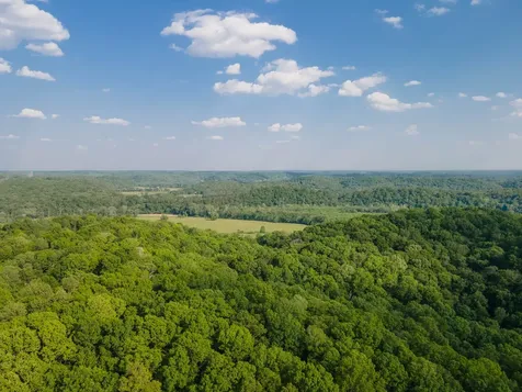 1070 Leatherwood Road White Bluff TN 37187