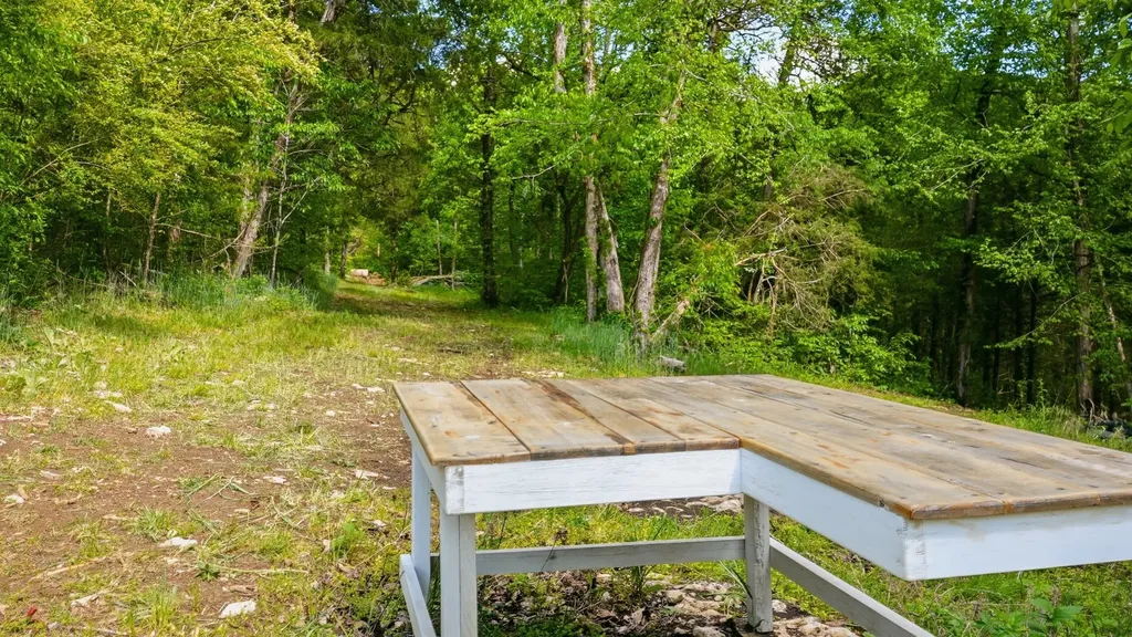 2699 Brooks Bend Lane Gainesboro TN 38562