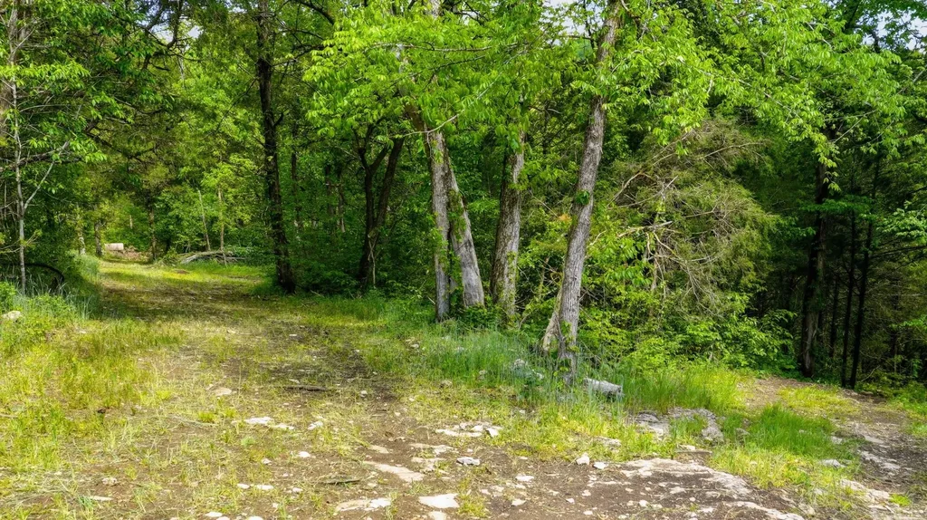 2699 Brooks Bend Lane Gainesboro TN 38562
