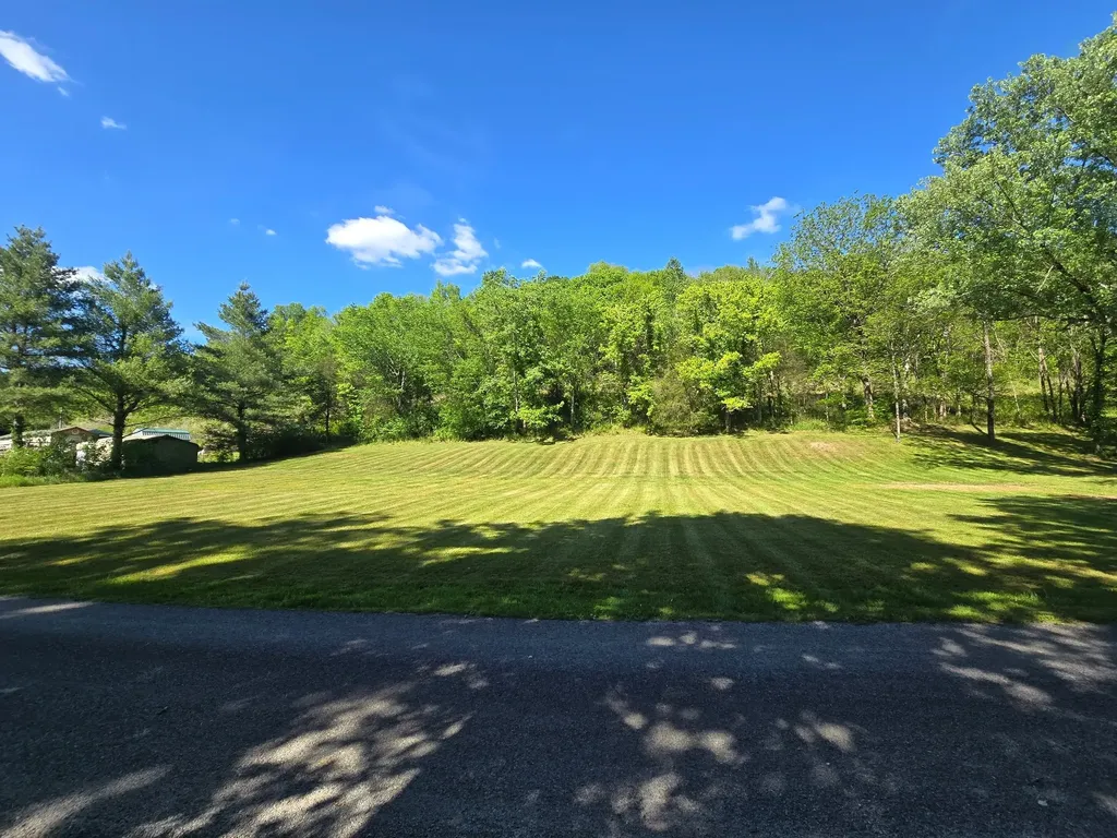 0 Dog Branch Road, S Pleasant Shade TN 37145