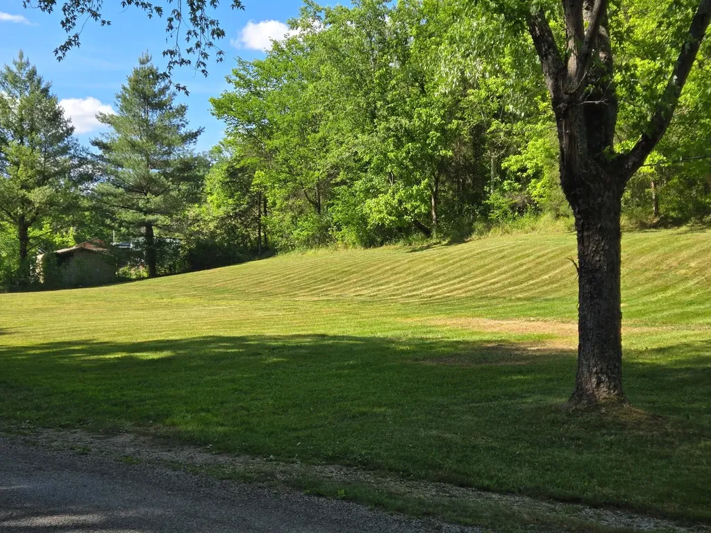 0 Dog Branch Road, S Pleasant Shade TN 37145
