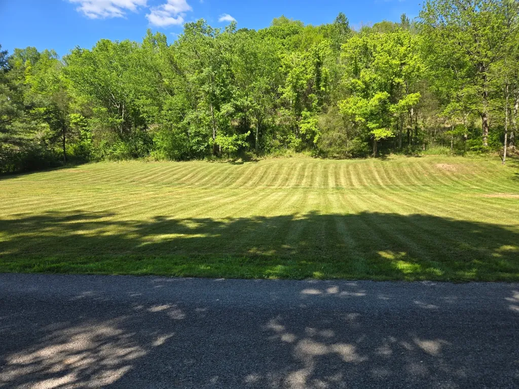 0 Dog Branch Road, S Pleasant Shade TN 37145
