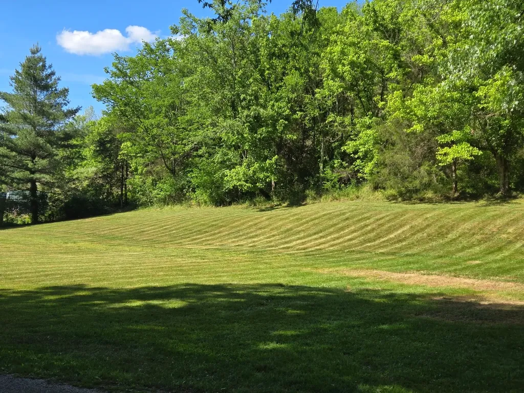 0 Dog Branch Road, S Pleasant Shade TN 37145