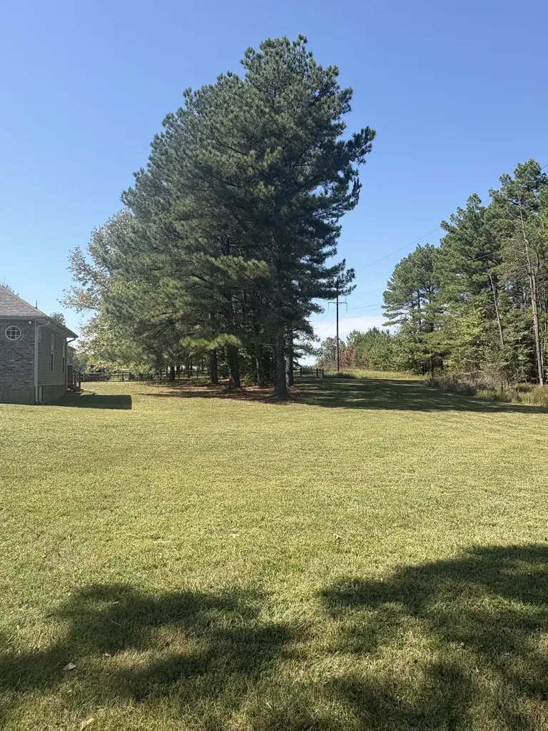 2044 Old Blacktop Road Mc Ewen TN 37101