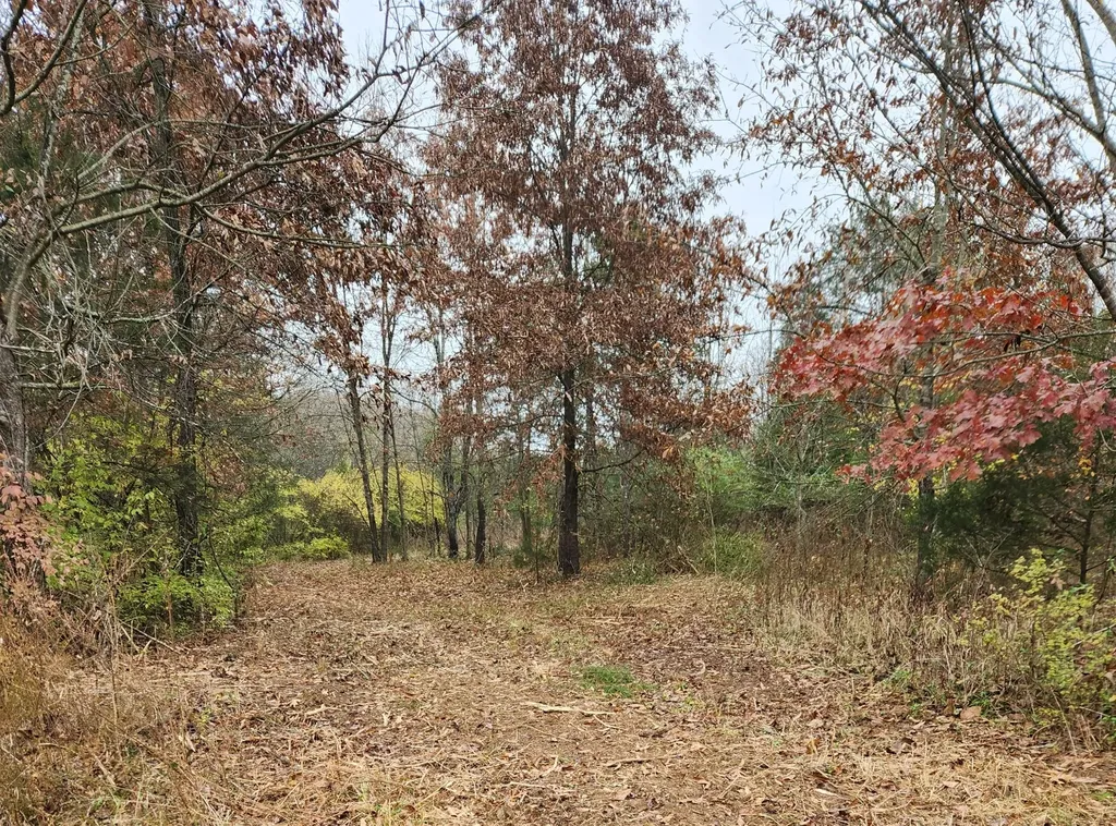4230 Peytonsville Trinity Road Franklin TN 37064