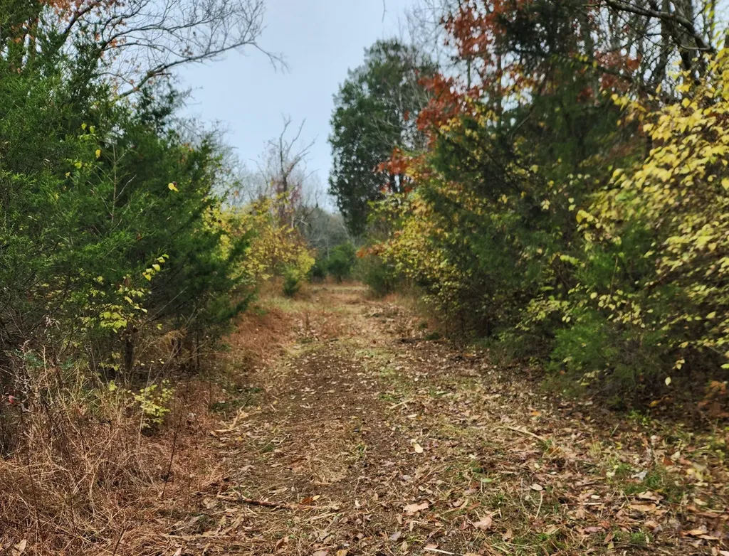 4230 Peytonsville Trinity Road Franklin TN 37064