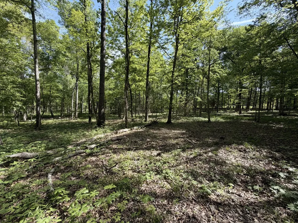0 Millersburg Road Christiana TN 37037