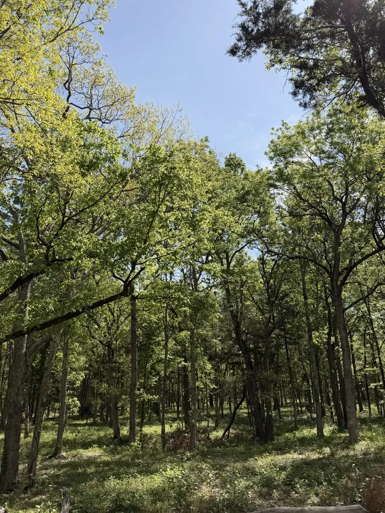 0 Millersburg Road Christiana TN 37037