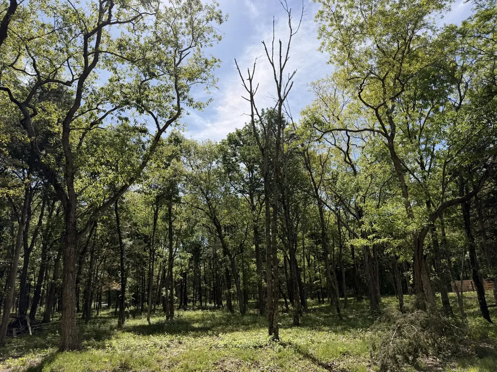 0 Millersburg Road Christiana TN 37037