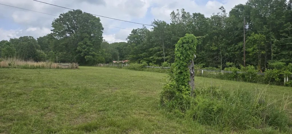 110 Dr Ibrahim Lane Summertown TN 38483