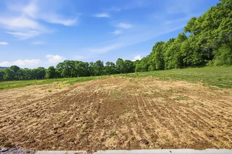 2161 Claude Fox Road Cornersville TN 37047