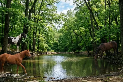 402 Cortner Hollow Road Petersburg TN 37144