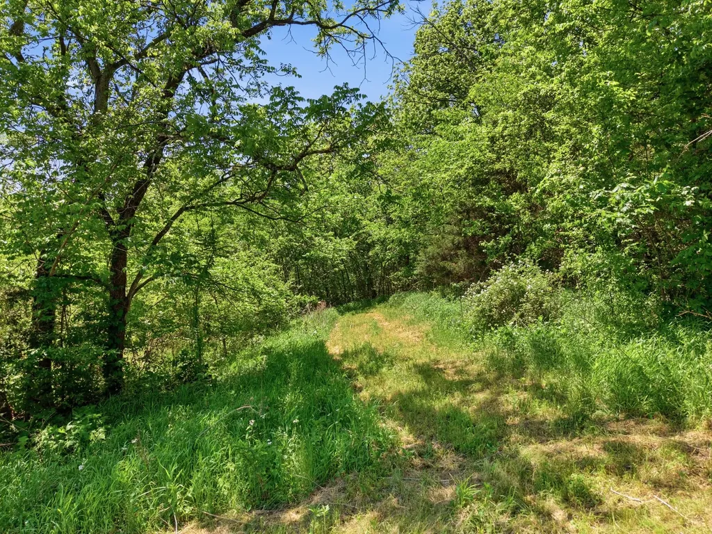 1840 Rock Springs Road Watertown TN 37184