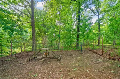 317 Alonzo Place Cunningham TN 37052