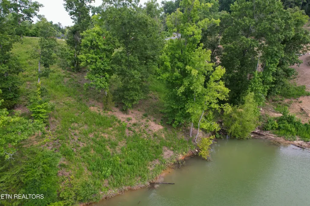 44 Stone Harbor Drive Dandridge TN 37725
