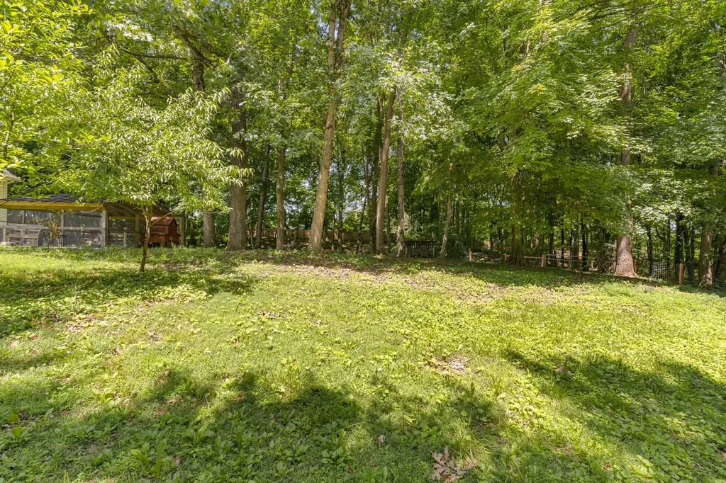 7339 Chowning Road Springfield TN 37172