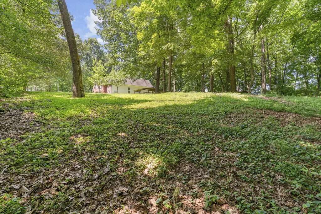 7339 Chowning Road Springfield TN 37172