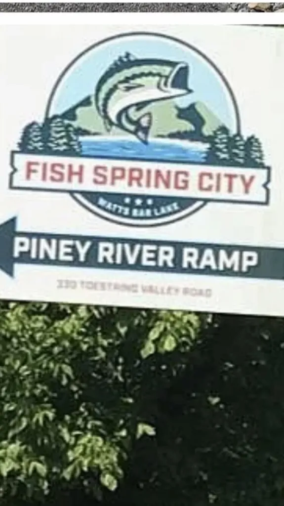 18 Piney View Spring City TN 37381