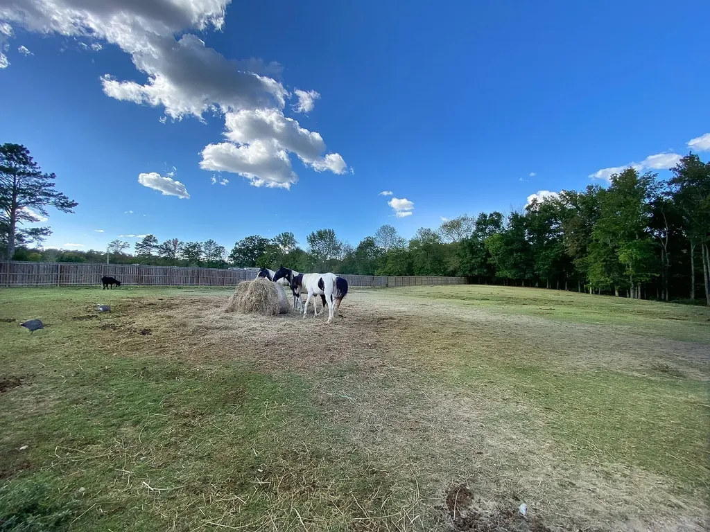 1260 Toy Denny Road Bradyville TN 37026