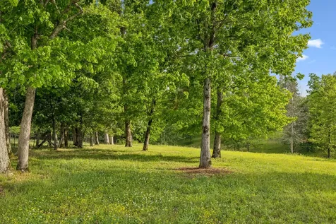 7899 W Lick Creek Road Primm Springs TN 38476