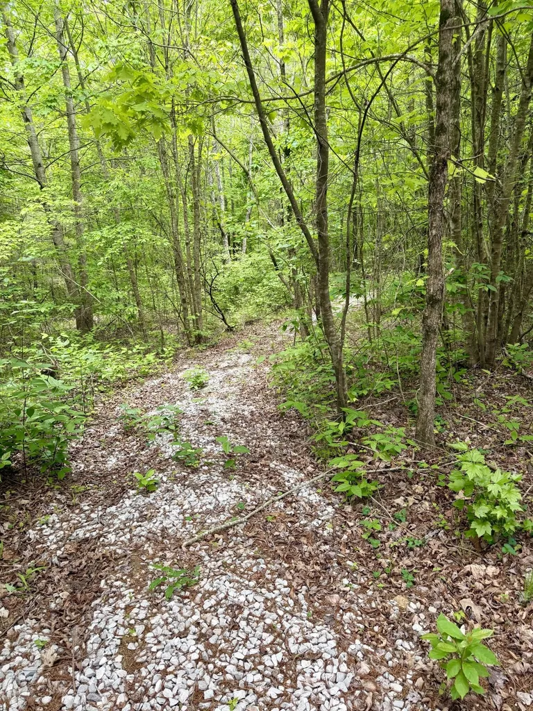 600 Green Brier Lane Dunlap TN 37327