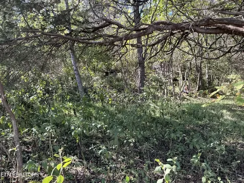 0 Moore Lane Powell TN 37849