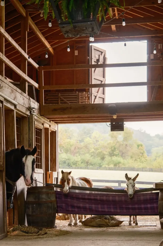 5297 Old Harding Road Franklin TN 37064