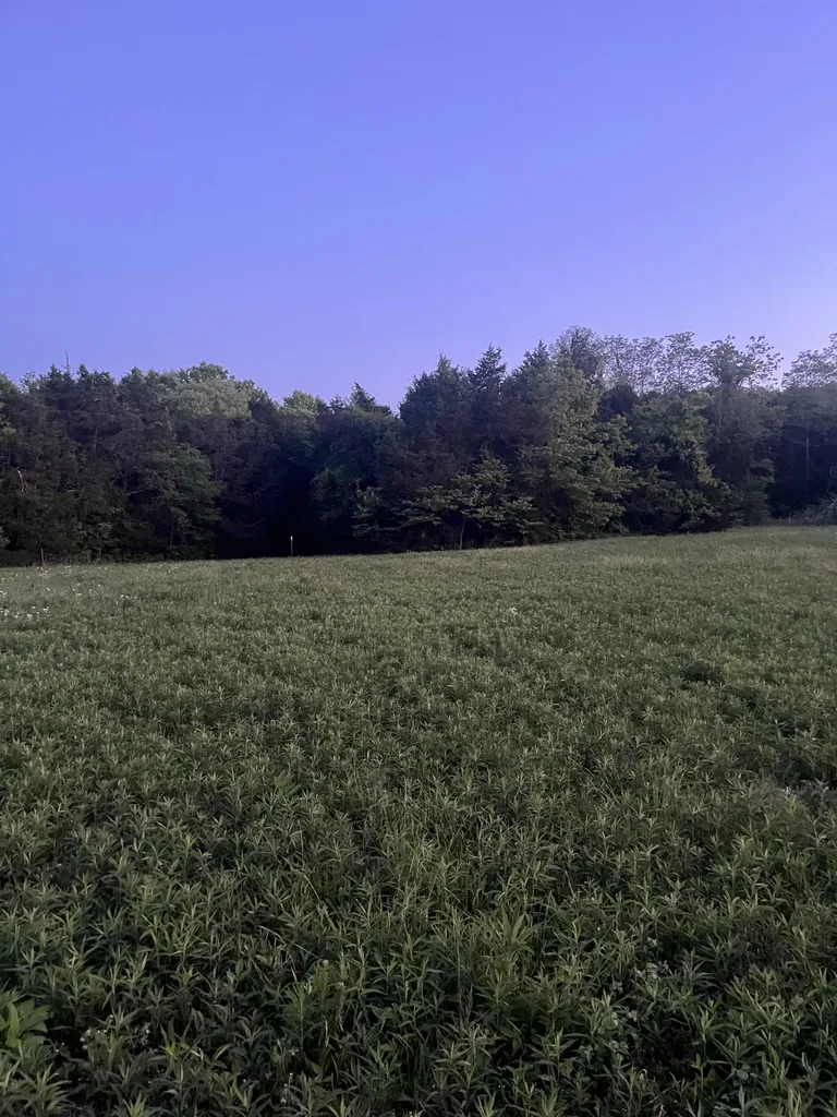 0 Rock Hill Road Readyville TN 37149