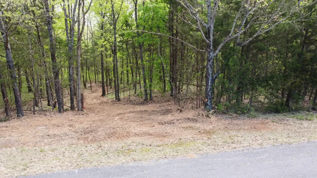0 Rock Hill Road Readyville TN 37149
