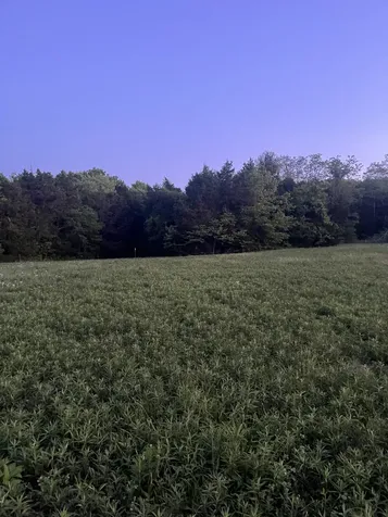 0 Rock Hill Road Readyville TN 37149