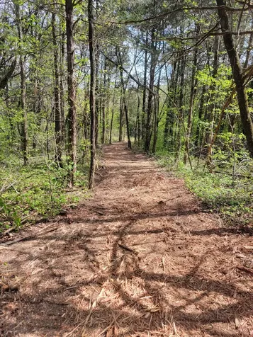 0 Rock Hill Road Readyville TN 37149