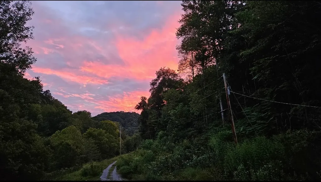140 Carver Hollow Road Pleasant Shade TN 37145