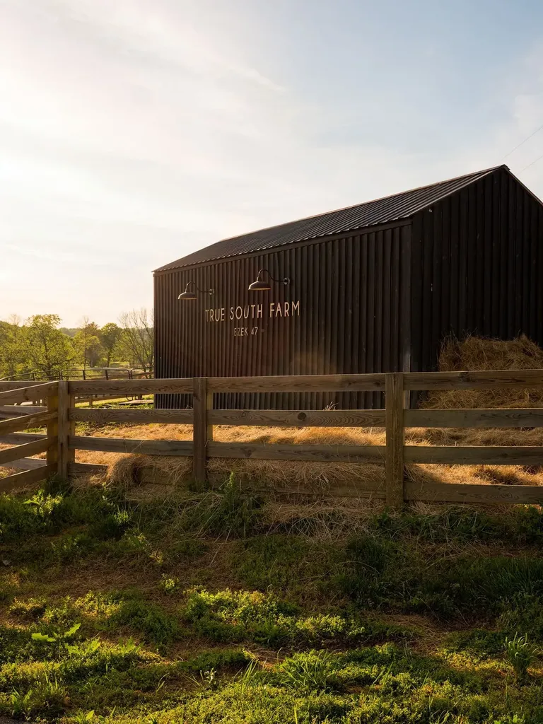 2311 Darks Mill Road Columbia TN 38401