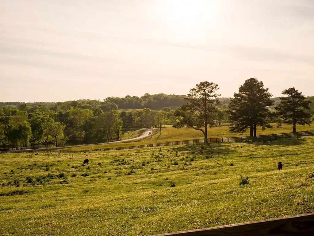 2311 Darks Mill Road Columbia TN 38401