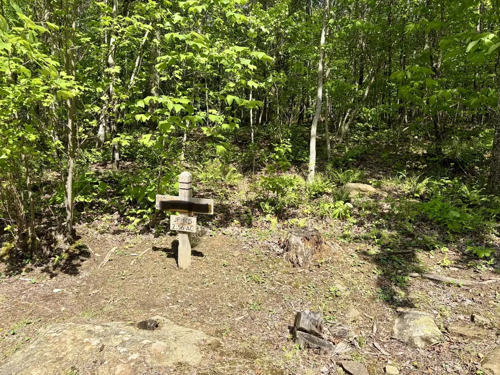 0 Raulston Falls Road Jasper TN 37347