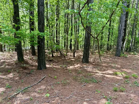 0 Raulston Falls Road Jasper TN 37347