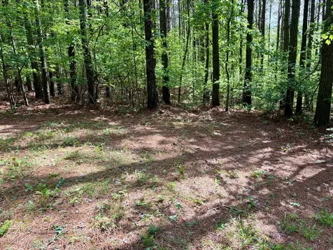 0 Raulston Falls Road Jasper TN 37347