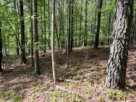 0 Raulston Falls Road Jasper TN 37347