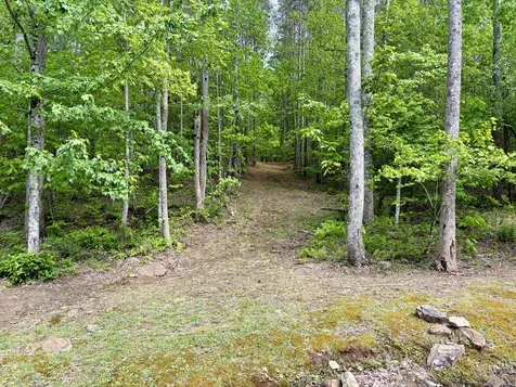 0 Raulston Falls Road Jasper TN 37347